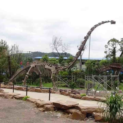 Duży zewnętrzny szkielet dinozaura, odporny na słońce model szkieletu dinozaura