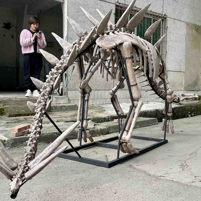 Wystawa Jurassic Park Dinosaur Skeleton, Dinosaur Bone Replicas