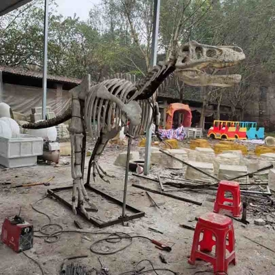 Outdoor / Indoor Life Size Replika czaszki dinozaura, repliki kopalnych dinozaurów