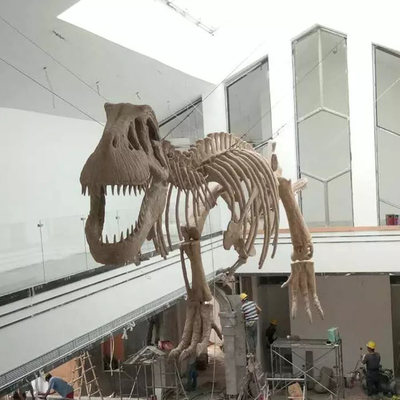 Replika szkieletu dinozaura do wnętrz, wiek młodzieżowy, 12 miesięcy gwarancji