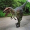 Raptor dinozaur Prawdziwy kostium dinozaura na sprzedaż