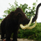 Pełnowymiarowy realistyczny włochaty mamut wodoodporny do parku rozrywki