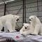 Realistyczny Animatronic Life Size Niedźwiedź polarny Dostosowane Dostępne 12 miesięcy gwarancji