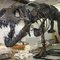 Replika szkieletu dinozaura do wnętrz, wiek młodzieżowy, 12 miesięcy gwarancji