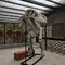 Centrum handlowe Replika szkieletu dinozaura Rozmiar Konfigurowalna skamielina czaszki dinozaura