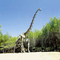 Realistyczna replika szkieletu dinozaura / replika świata jurajskiego do użytku w pomieszczeniach