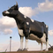 Realistyczna statua zwierząt Wodoodporna rzeźba krowy naturalnej wielkości Dostosowane dostępne