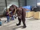 Realistyczny kostium dinozaura dla dorosłych Lekki Oddychający