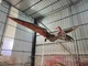 Rzeczywisty dinozaur w naturalnym rozmiarze Animatroniczny Zwieszenie na Pterosaur z dźwiękiem