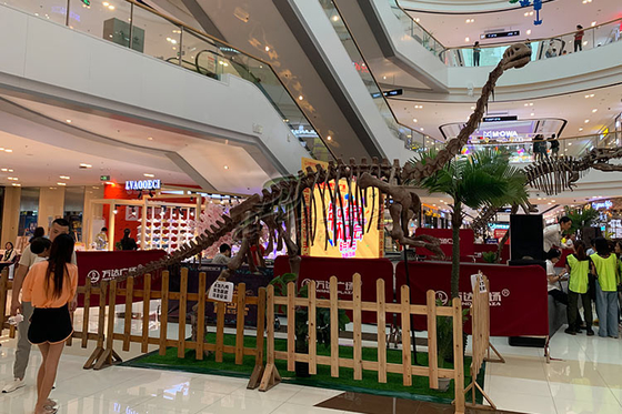 Wystawa wewnętrzna / zewnętrzna Repliki szkieletu dinozaura ze stalową ramą