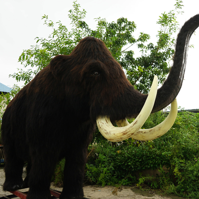 Pełnowymiarowy realistyczny włochaty mamut wodoodporny do parku rozrywki
