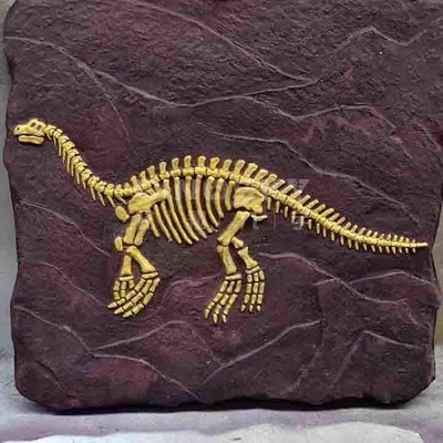 kupować Replika szkieletu dinozaura na zewnątrz Model naturalnej wielkości Zgodny z dyrektywą RoHS online manufacture