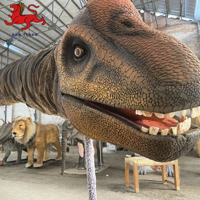 kupować Wewnętrzna realistyczna głowa dinozaura do montażu na ścianie Dekoracyjny rozmiar Dostosowany online manufacture