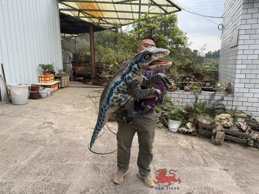 kupować Zindywidualizowana realistyczna lalka z ręką dinozaura online manufacture