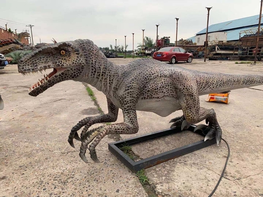 Naturalnej wielkości Realistyczny animatroniczny dinozaur Velociraptor Model Park rozrywki Dinozaur