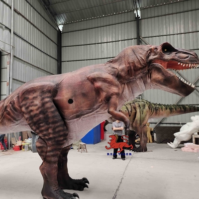 Muzeum Realistyczny Kostium Dinozaura 8m Długie Dorosły Wiek Brzmi Dostosowane