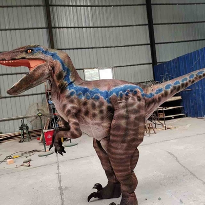 nazwisko