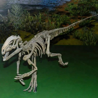 nazwisko