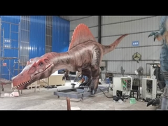 Rzeczywisty rozmiar Animatroniczny dinozaur Spinosaurus Servo silniki Duży zakres ruchów